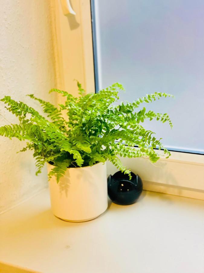 Apartment In Ivy Covered House, Near Old Town クラクフ エクステリア 写真